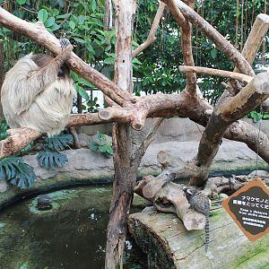 Second hall of Tropical Forest