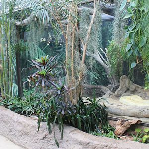 Reptile tanks in Tropical Wetland