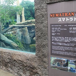 Sumatran Tiger enclosure