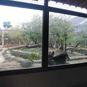 Wolf enclosure