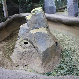 Black-tailed Prarie Dog enclosure