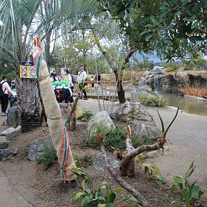 Pantanal (Capybara walk-in enclosure)