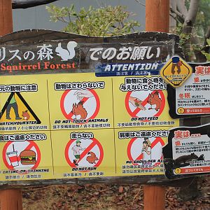 Squirrel Forest signage