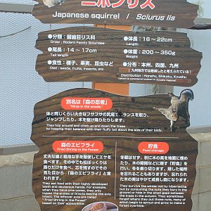 Squirrel Forest signage