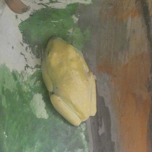 ID? - Philadelphia Zoo