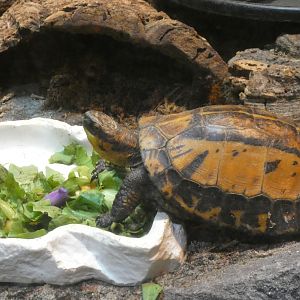 ID? - Philadelphia Zoo