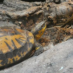 ID? - Philadelphia Zoo