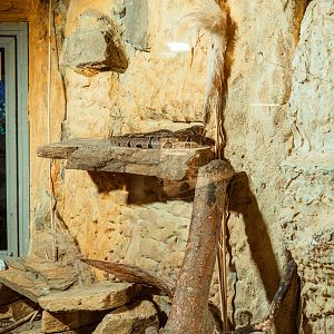 Ball python enclosure