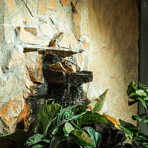 Ball python enclosure