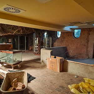 Terrarium construction progress