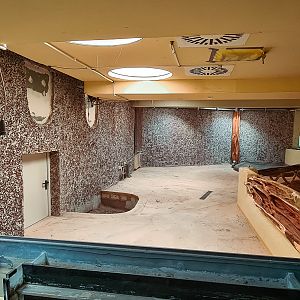 Terrarium construction progress