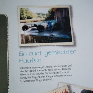 Historic photo with keeper in the mixed bear enclosure