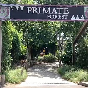 Toledo Zoo 2022-Entrance to the Primate Forest