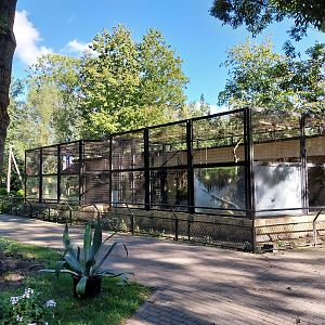 Nowy Tomysl Zoo - Japanese Macaque (left) and Rhesus Macaque (right)