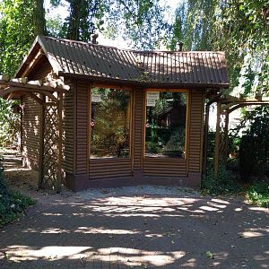 Nowy Tomysl Zoo - Degu (left) and red-eared slider (right)