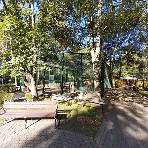 Nowy Tomysl Zoo - Northern Lynx (Lynx lynx lynx) enclosure