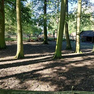 Nowy Tomysl Zoo - Deer enclosure