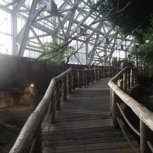 Path inside the Fruit Bat aviary - Zooparc de Beauval - 13/10/2024