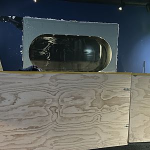 Living Coast-construction