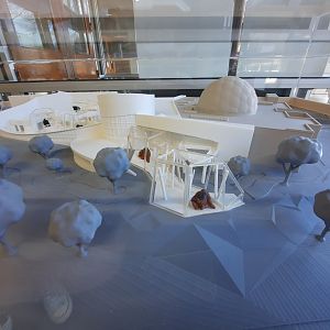 Primate Forest Model 2