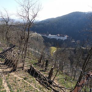 Cougar exhibit with Schloss Herberstein
