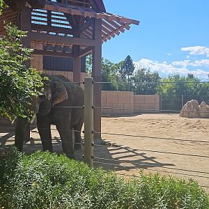 Elephant habitat