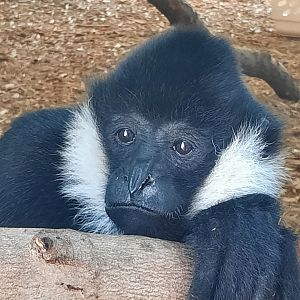 Deep Thoughts, Milo?