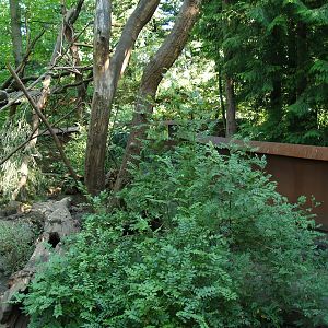 White-nosed coati exhibit (now gone), 2007-09-16