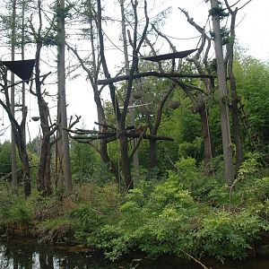 Javan lutung island, 2007-09-16
