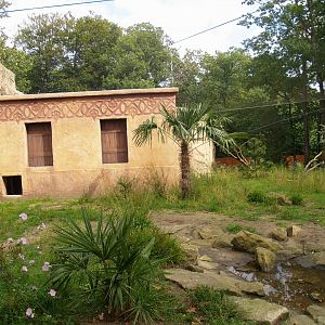 Waldrapp walk-through aviary, 2007-09-16