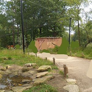 Waldrapp walk-through aviary, 2007-09-16