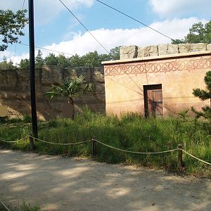 Waldrapp walk-through aviary, 2007-09-16