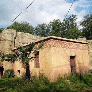 Waldrapp house in walk-through aviary, 2007-09-16