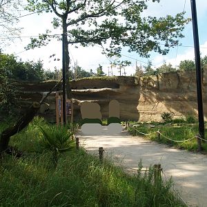 Waldrapp walk-through aviary, 2007-09-16