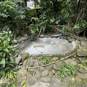 former arapaima pond