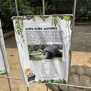 aldabra giant tortoise signage