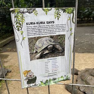 asian forest tortoise signage