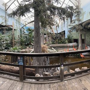 Swamp Aviary Panorama