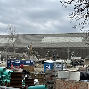 Orangutan Construction - Tropical Forests