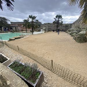 Humboldt penguin enclosure