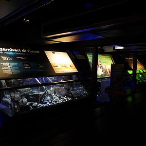 Tropical fish aquariums