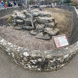 Prairie dog enclosure