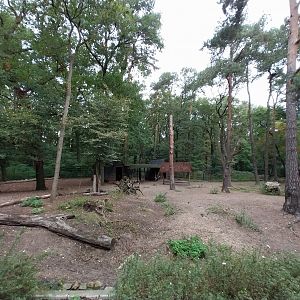 Domestic Reindeer enclosure