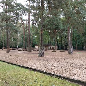 Javan Banteng (Bos javanicus javanicus) and Axis Deer (Axis axis) enclosure