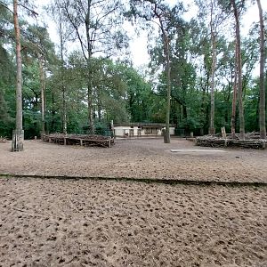 Javan Banteng (Bos javanicus javanicus) and Axis Deer (Axis axis) enclosure