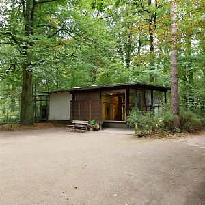 Lar Gibbon (Hylobates lar) House