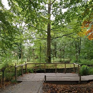 Lar Gibbon (Hylobates lar) enclosure