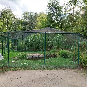 Aviary near Goose Meadow