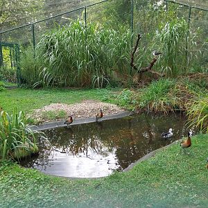 Aviary near Goose Meadow
