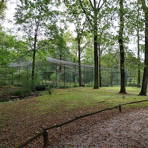 Patagonian Mara walk-through and Flamingo walk-through aviary